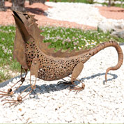 Ornamental Animal - Iguana
